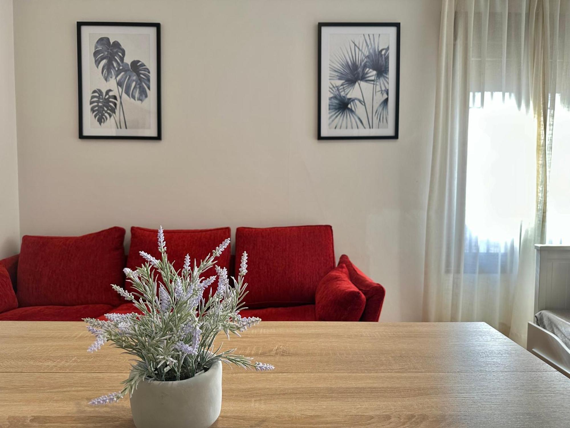 Appartement La Sacristia De San Pablo à Cordoue Extérieur photo